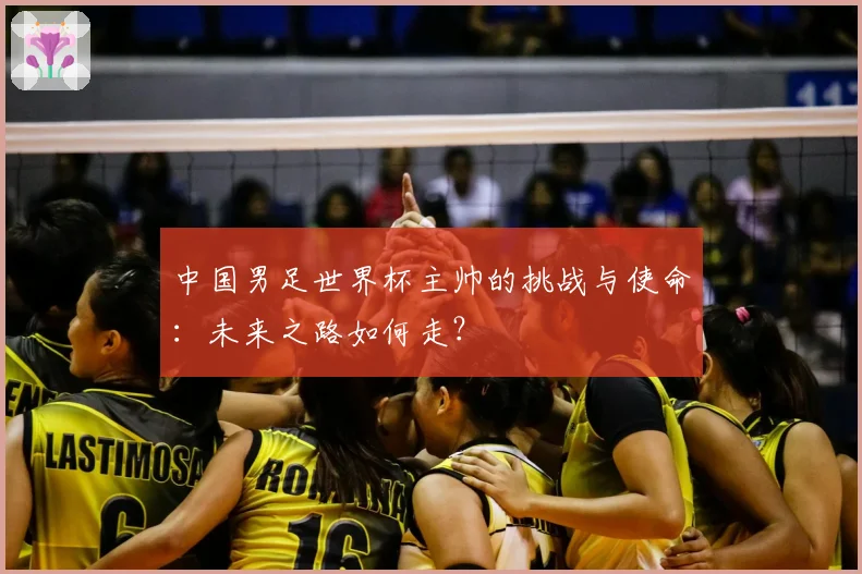 中国男足世界杯主帅的挑战与使命：未来之路如何走？