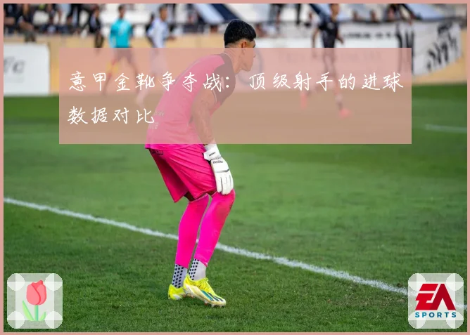 意甲金靴争夺战：顶级射手的进球数据对比