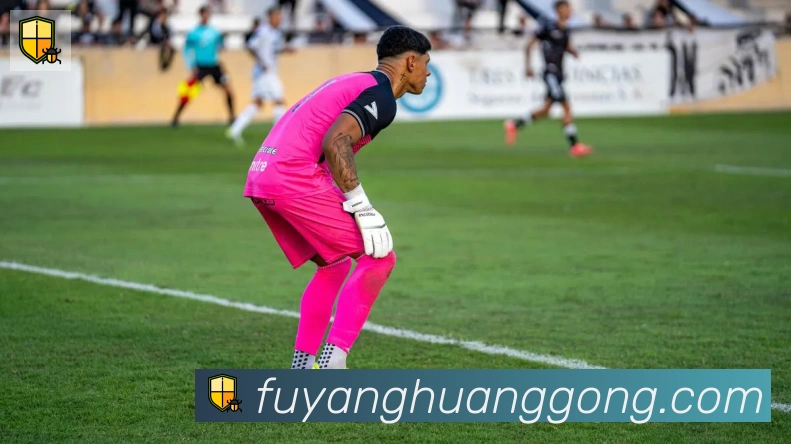 华体会在线官网平台生态图