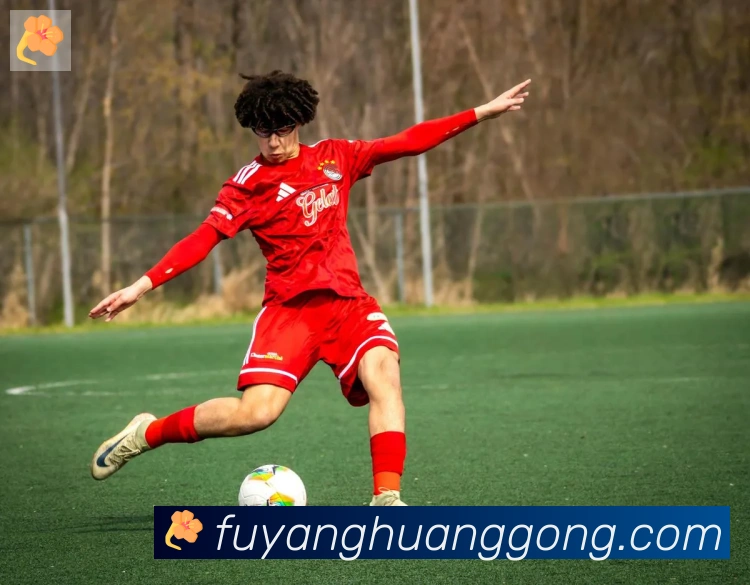 华体会在线官网APP 体育赛事宣传图