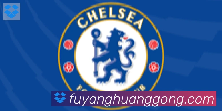 华体会在线官网合作伙伴